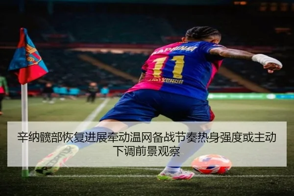 辛纳髋部恢复进展牵动温网备战节奏热身强度或主动下调前景观察